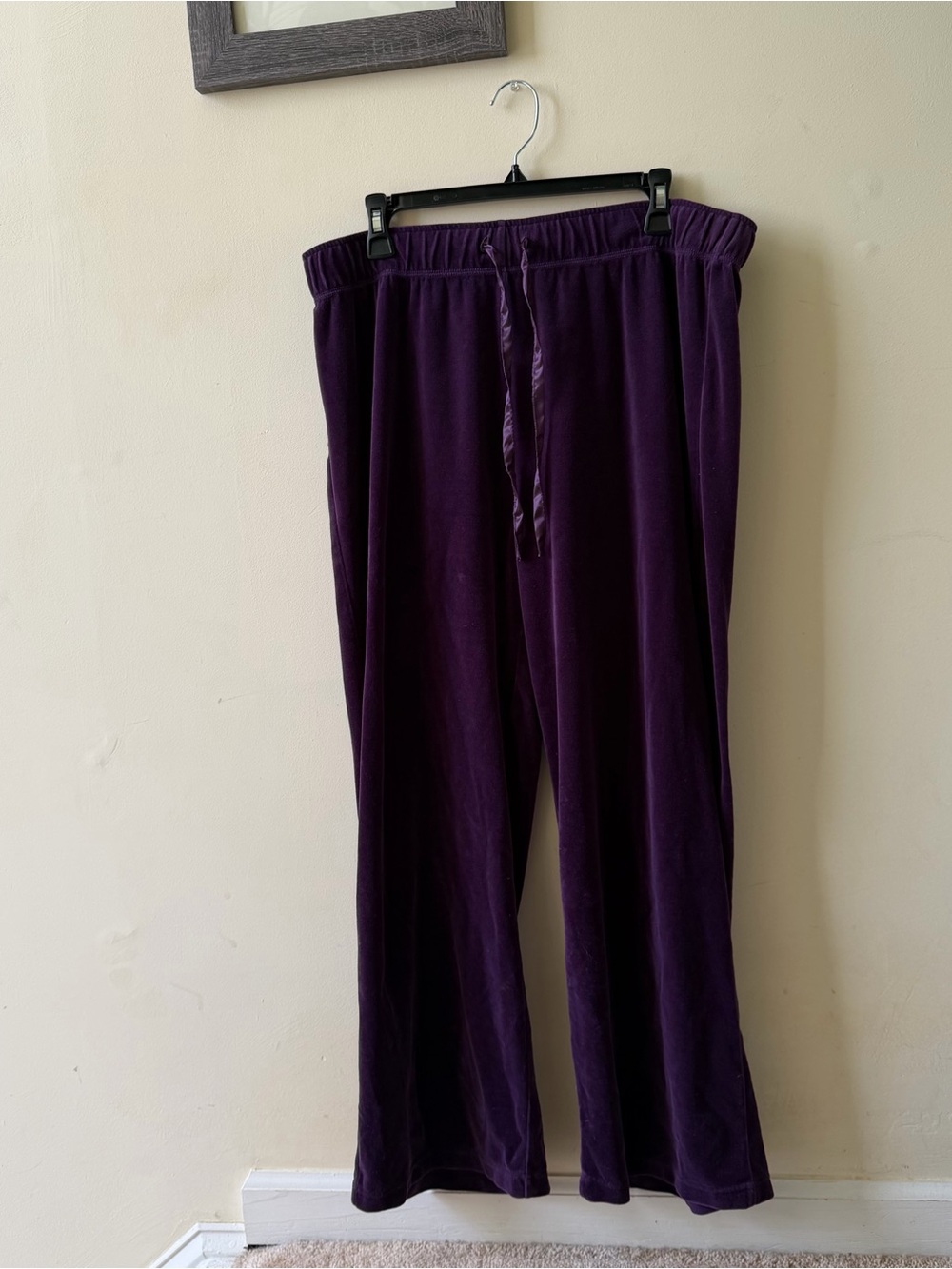 Plush Velvet Jogger Pants in Deep Purple